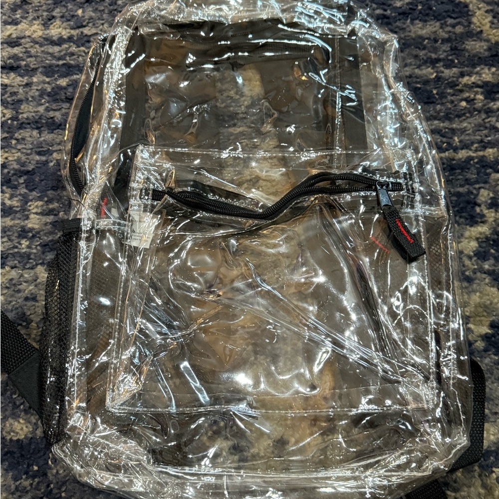 Transparent Clear Backpack